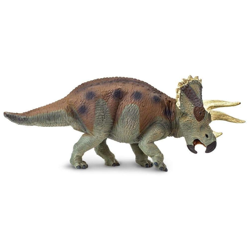 Safari, Toys & Figurines, Gifts, 641199, Triceratops